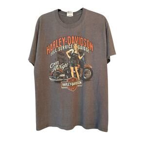 Harley Davidson Graphic T-shirt Gray Two Sided Sweetwater L Pin-Up CA